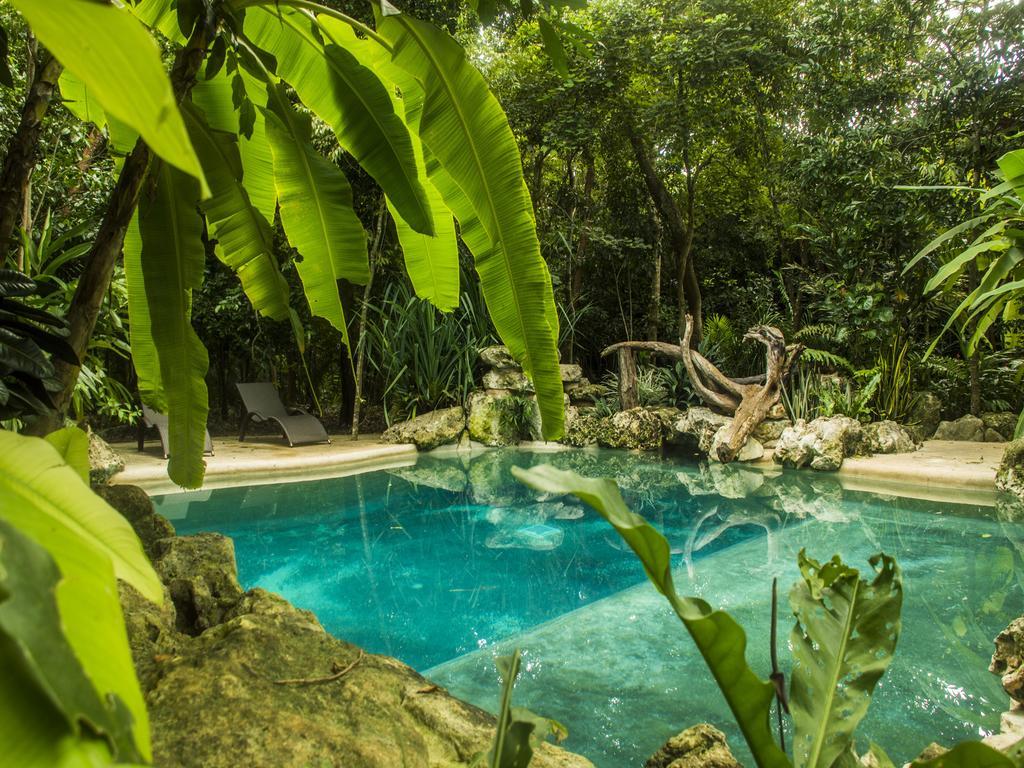 Hotel La Hacienda Cancun- El Ramonal, Monkey Sanctuary Exterior foto